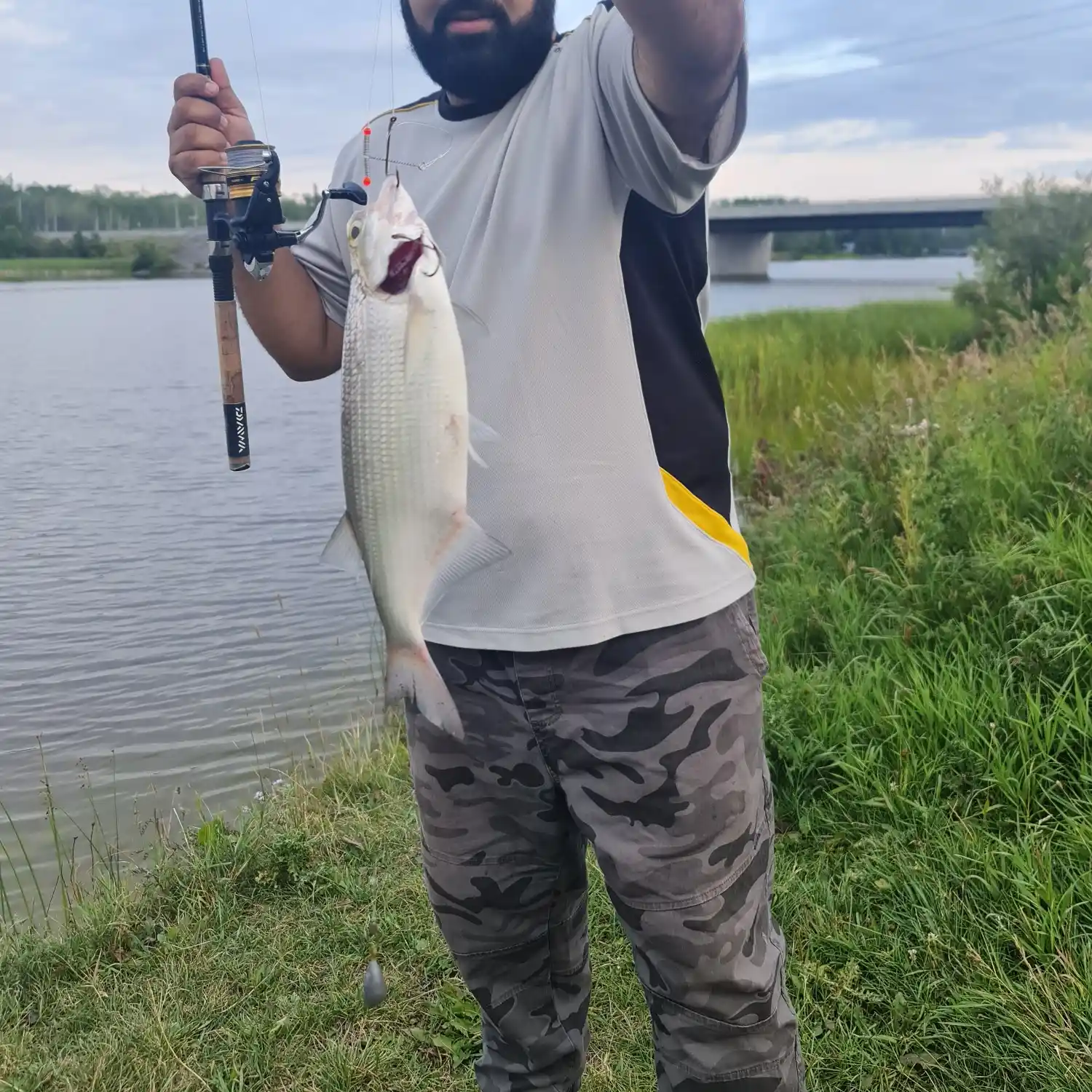 ᐅ Night Hawk Lake fishing reports🎣• Ontario, Canada fishing