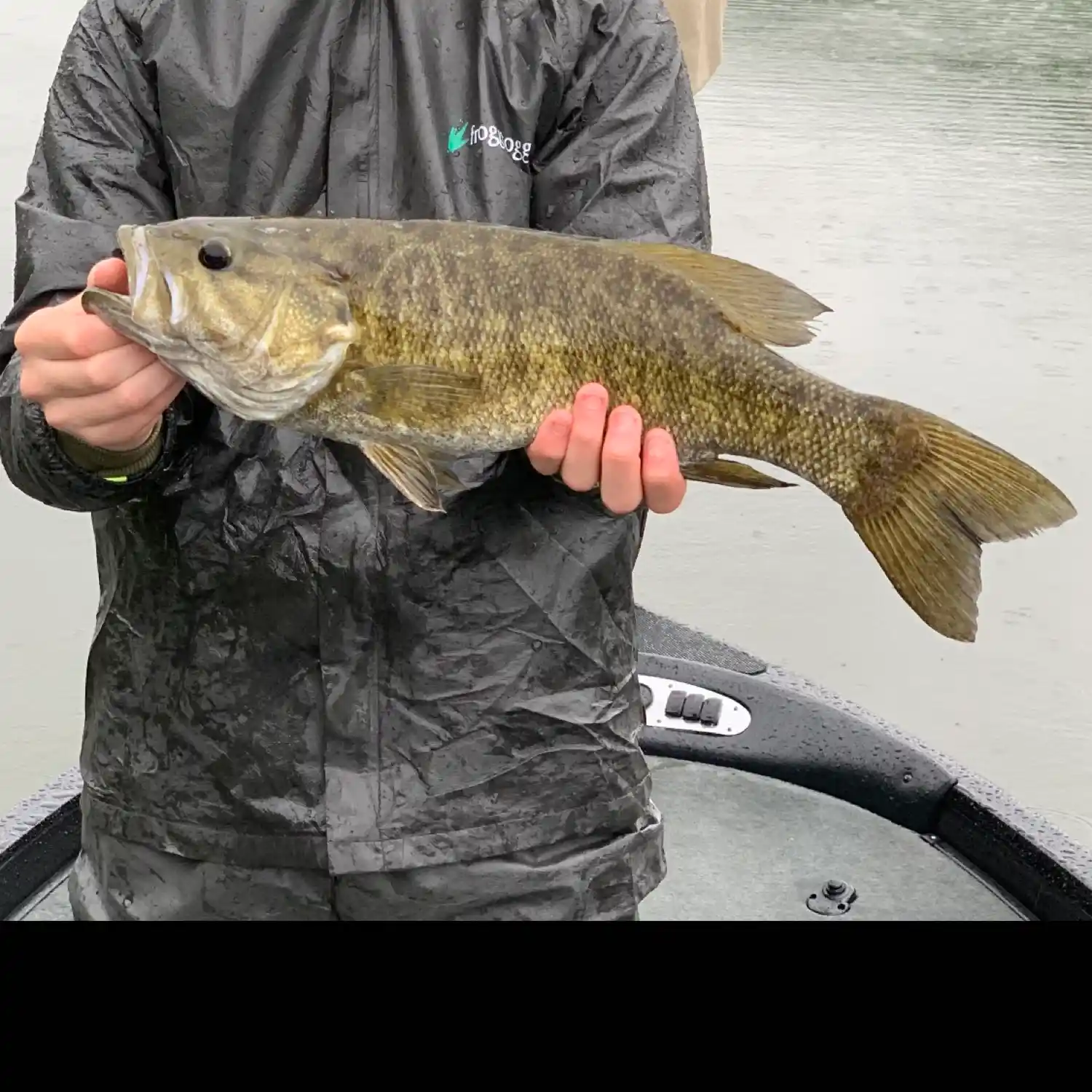 ᐅ Tionesta Lake fishing reports🎣• Oil City, PA (United States) fishing