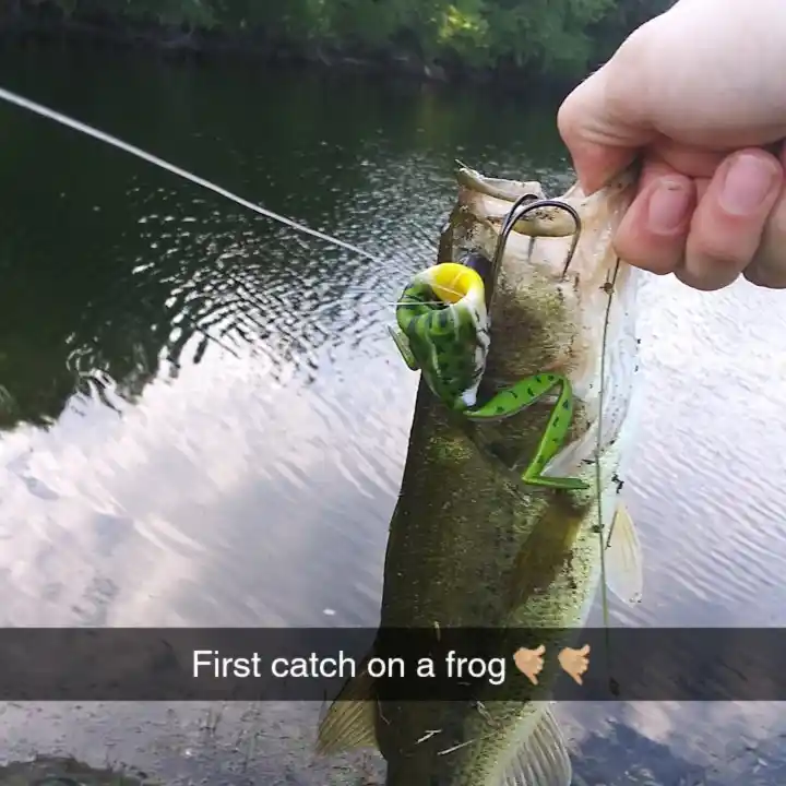 most liked catch image