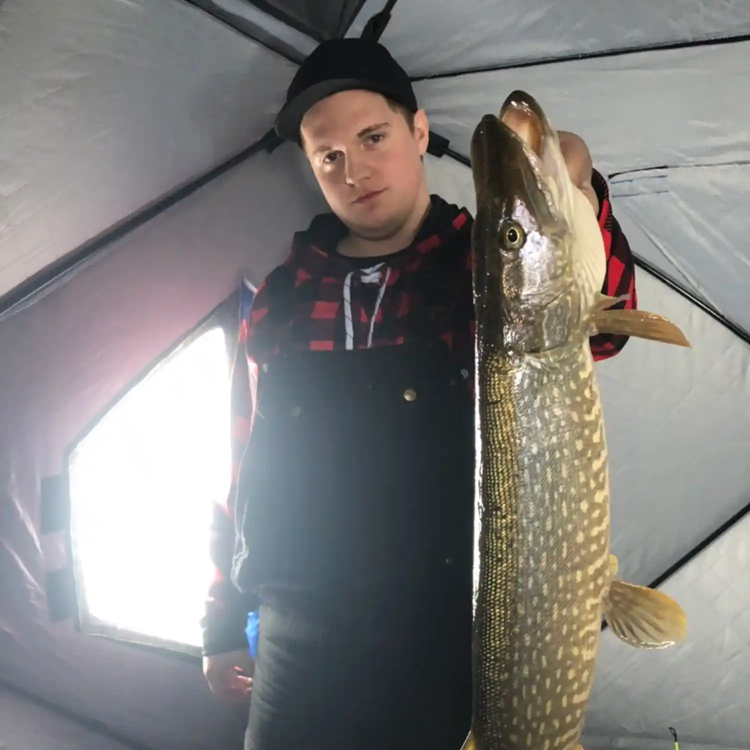 ᐅ Good Spirit Lake fishing reports🎣• Saskatchewan, Canada fishing