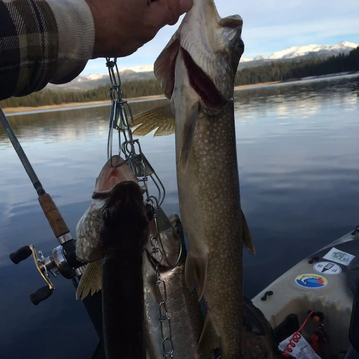 Union Valley Reservoir California Bass & Trout Fishing Giant Trout