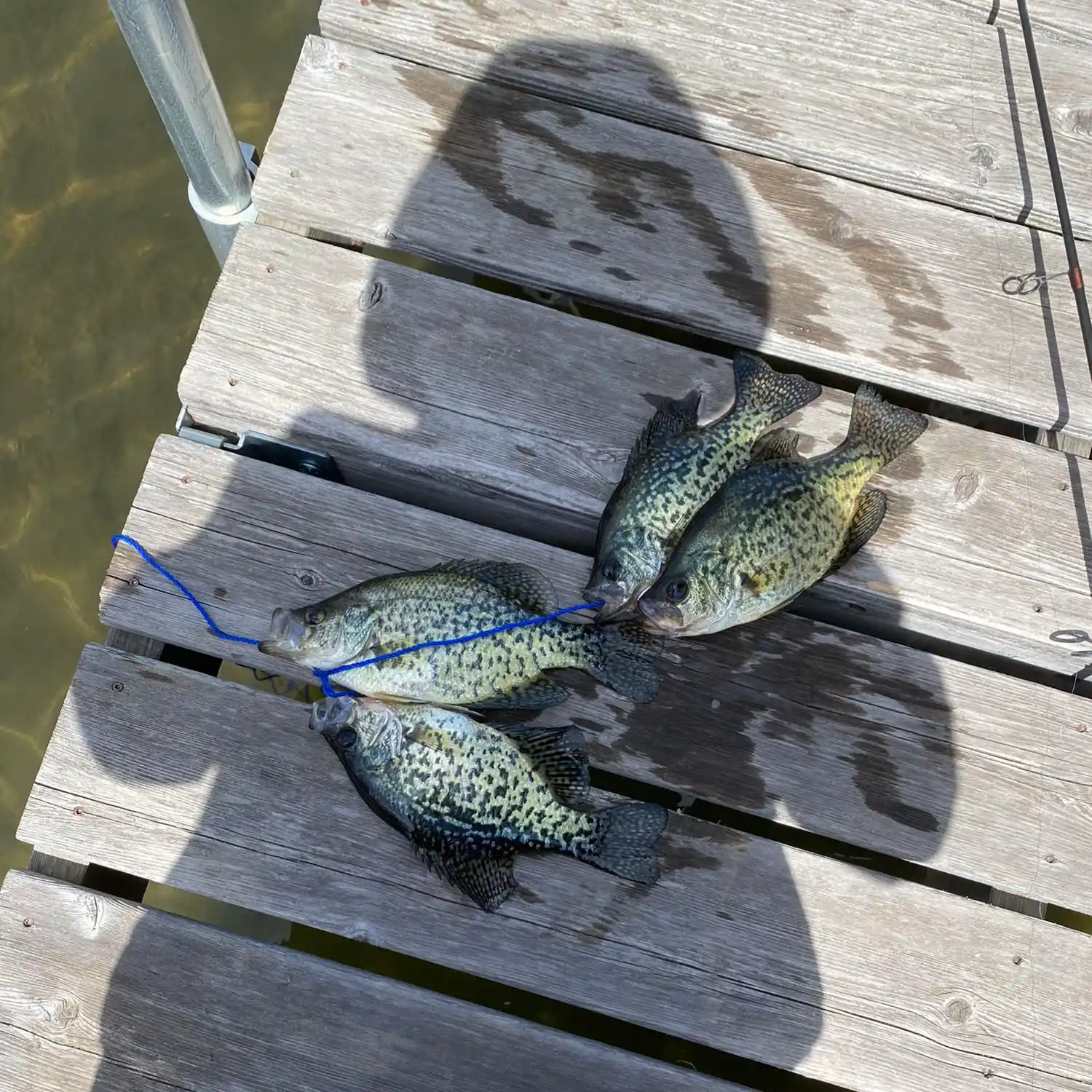 Middle Cullen Lake Fishing Reports