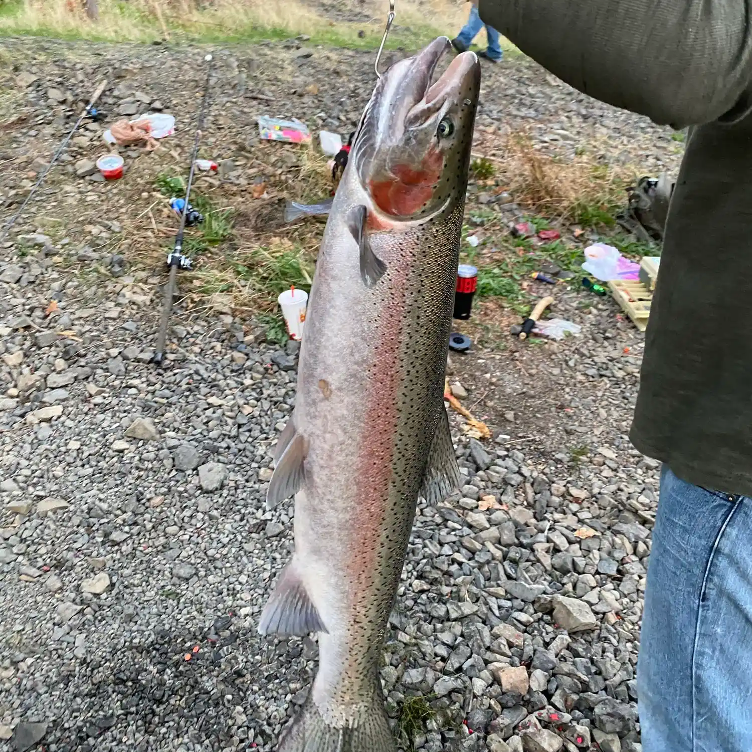 ᐅ Drano Lake fishing reports🎣• Hood River, WA (United States) fishing