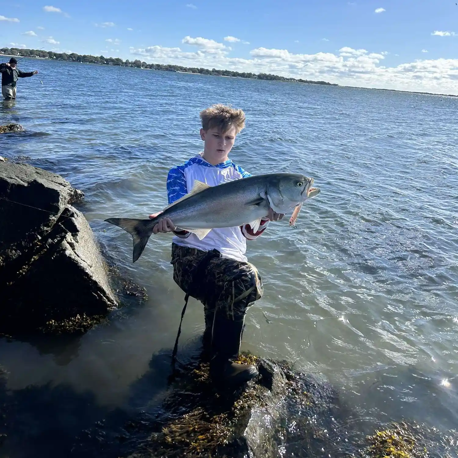 ᐅ Orient Harbor fishing reports🎣• Southold, NY (United States) fishing