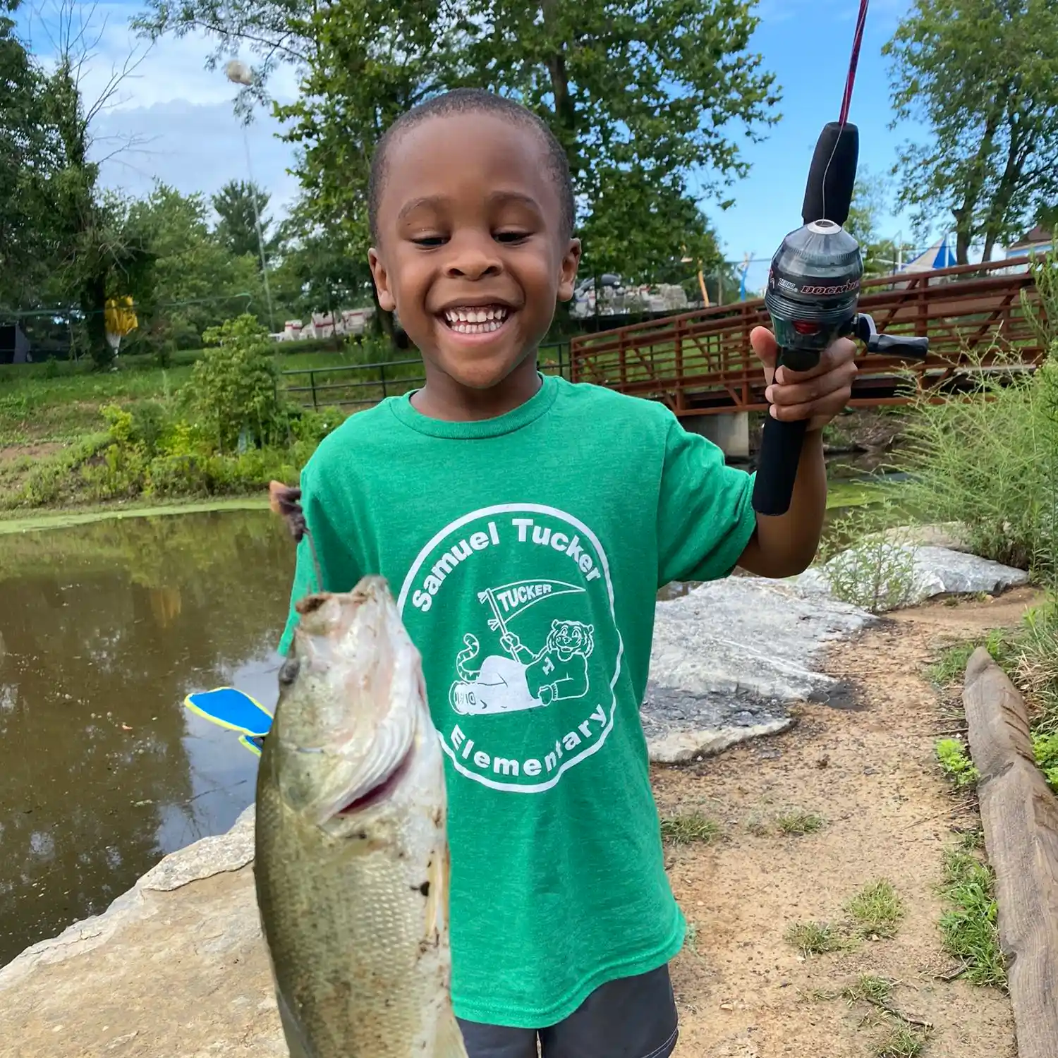 ᐅ Cook Lake fishing reports🎣• Plymouth, IN (United States) fishing