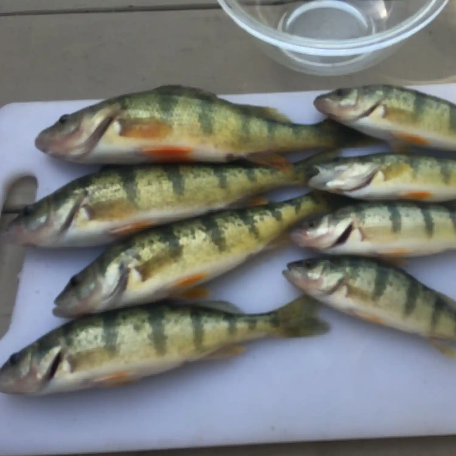 Bolles Harbor 4-14 & 15 - Michigan Waters Fishing Reports