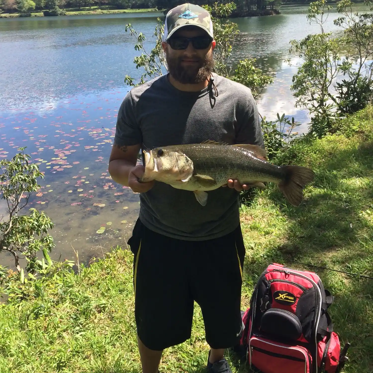 ᐅ Bass Lake fishing reports🎣• Boone, NC (United States) fishing