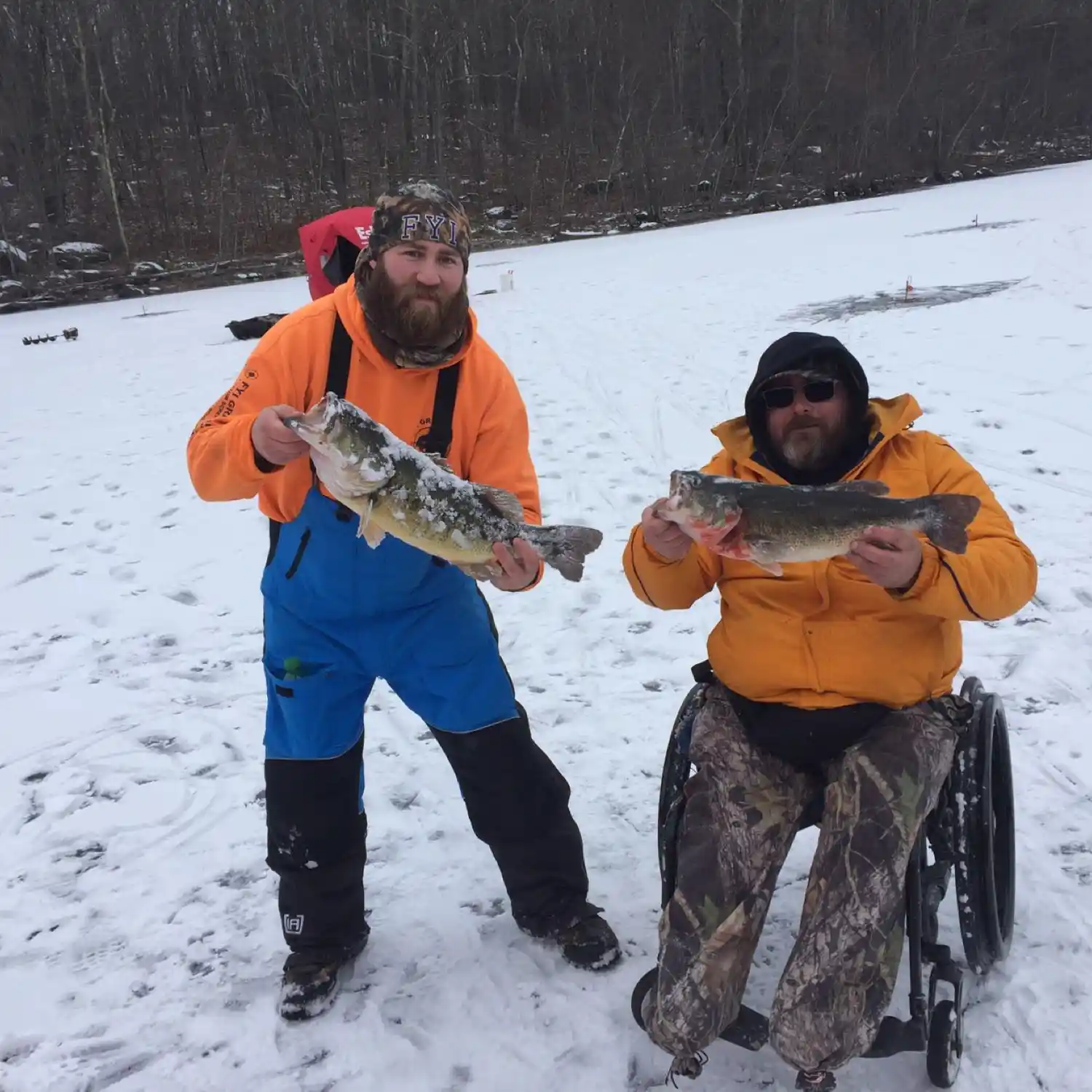 ᐅ Lake Wallenpaupack fishing reports🎣• Dingman, PA (United States) fishing