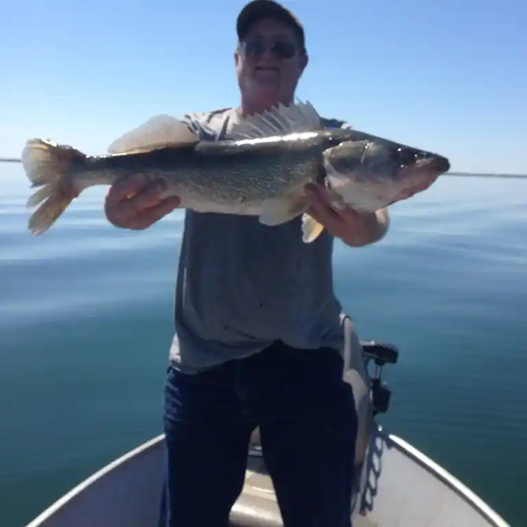 ᐅ Lake Poinsett fishing reports🎣• Brookings, SD (United States) fishing