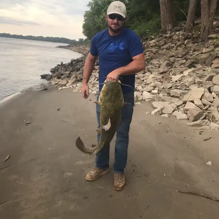 ᐅ Kaskaskia River fishing reports🎣• Farmington, IL (United States) fishing