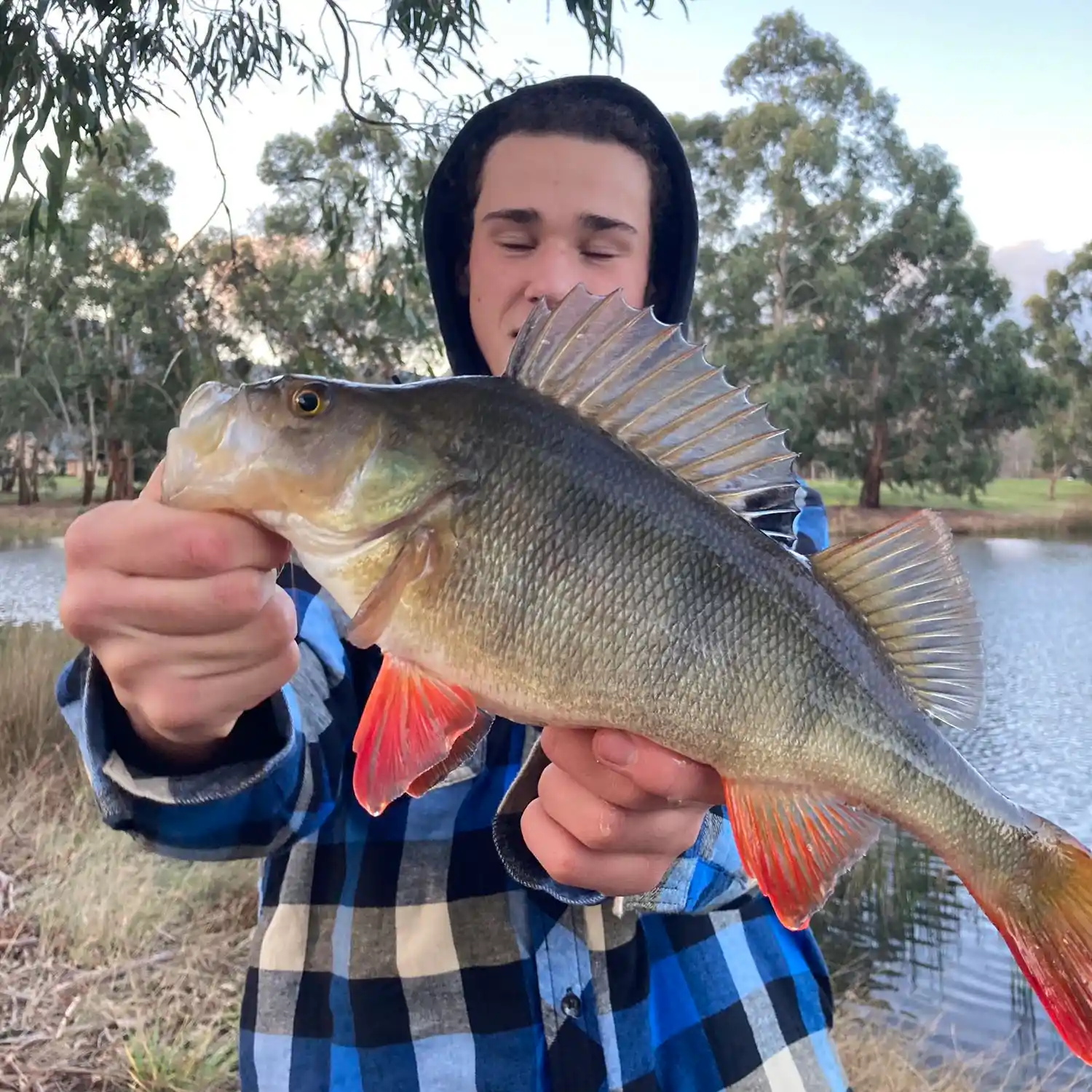 ᐅ Gisborne Creek fishing reports🎣• Victoria, Australia fishing