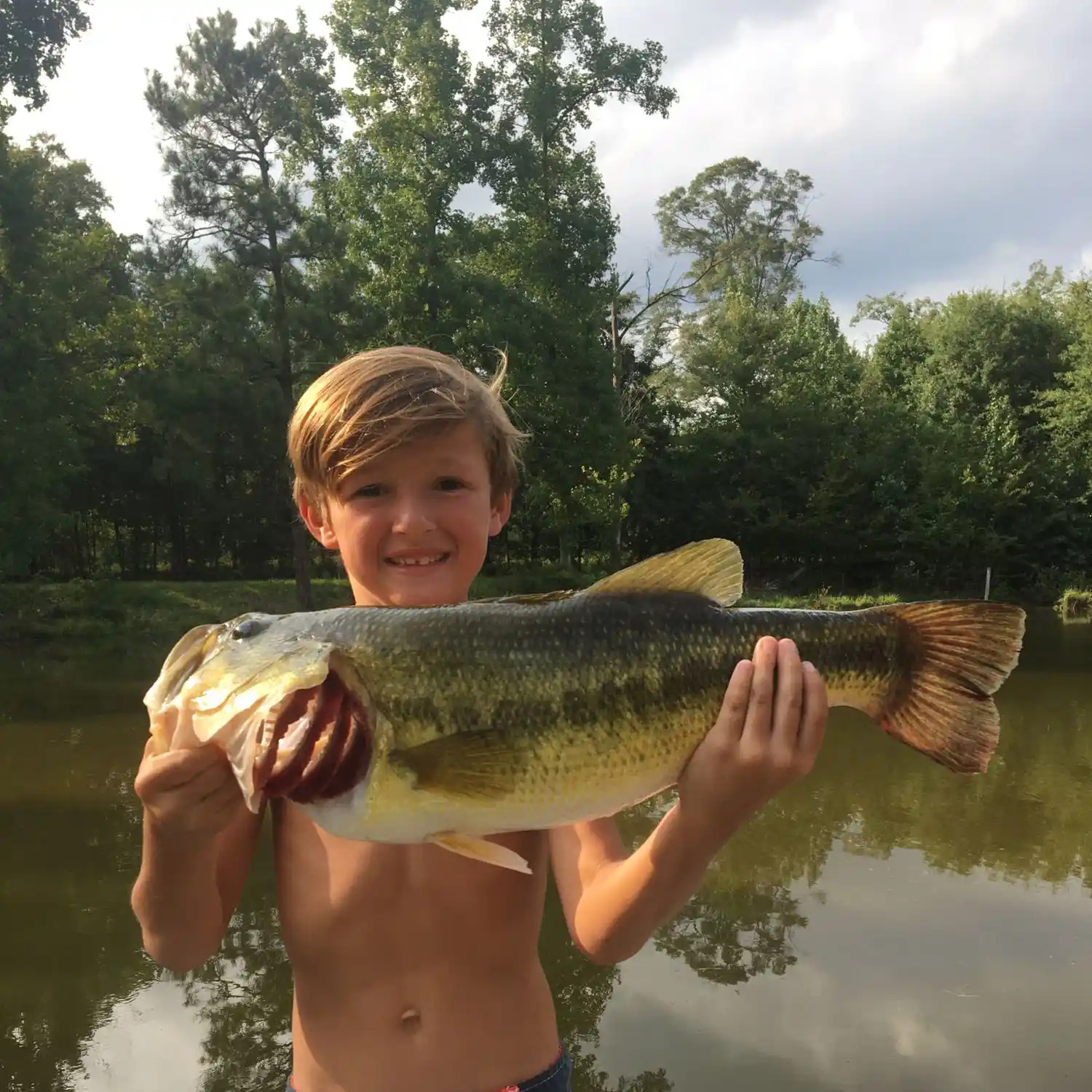 ᐅ Pittman Lake fishing reports🎣• Ravenna, OH (United States) fishing