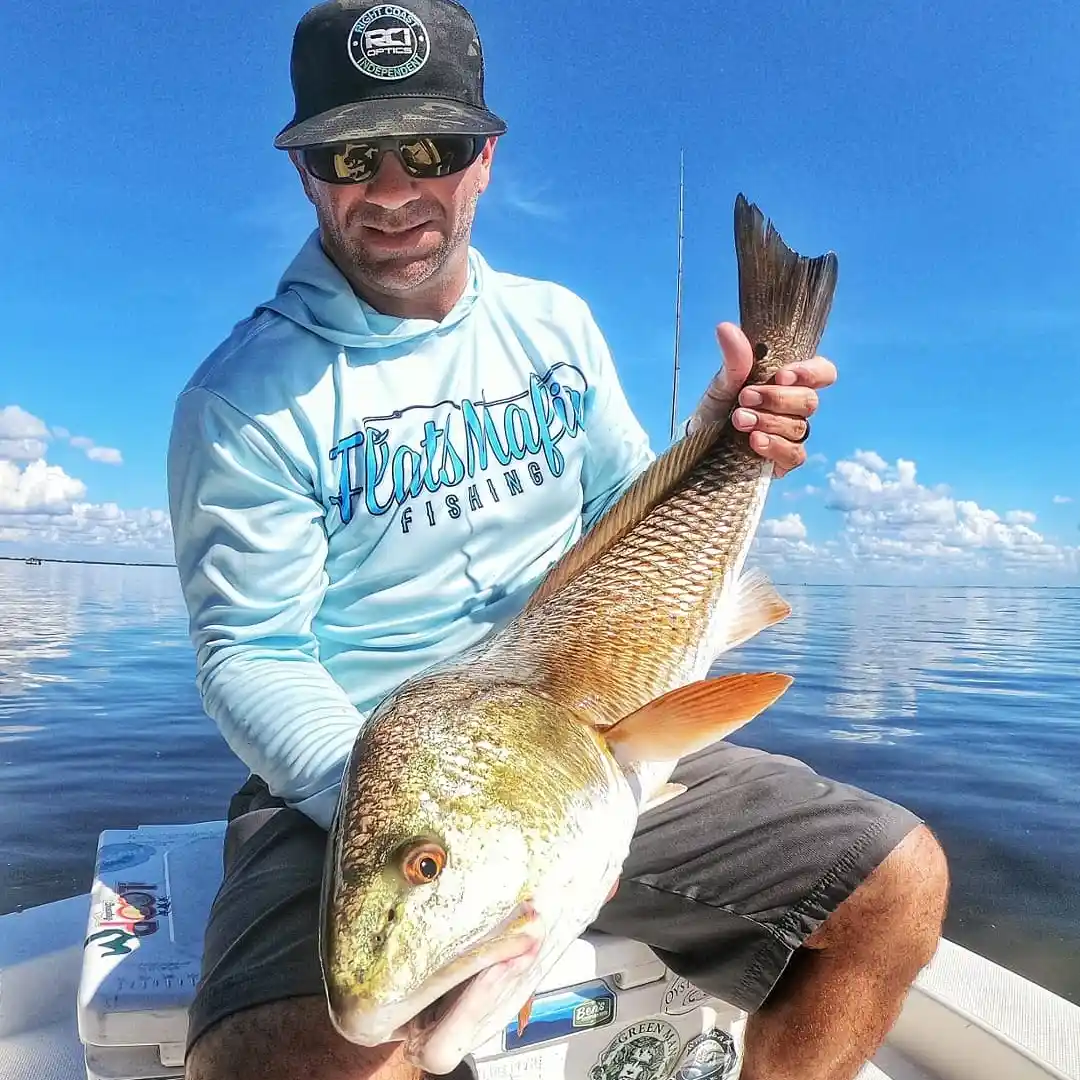 ᐅ Tampa Bay fishing reports🎣• St. Petersburg, FL (United States) fishing