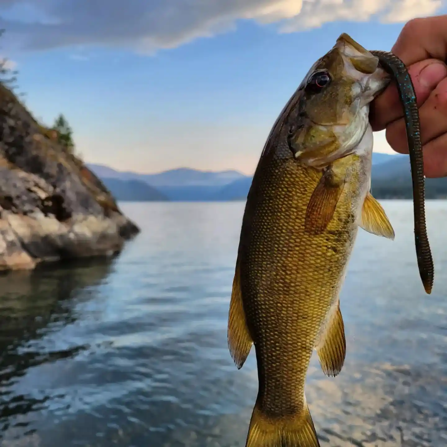 ᐅ Green Lake fishing reports🎣• British Columbia, Canada fishing