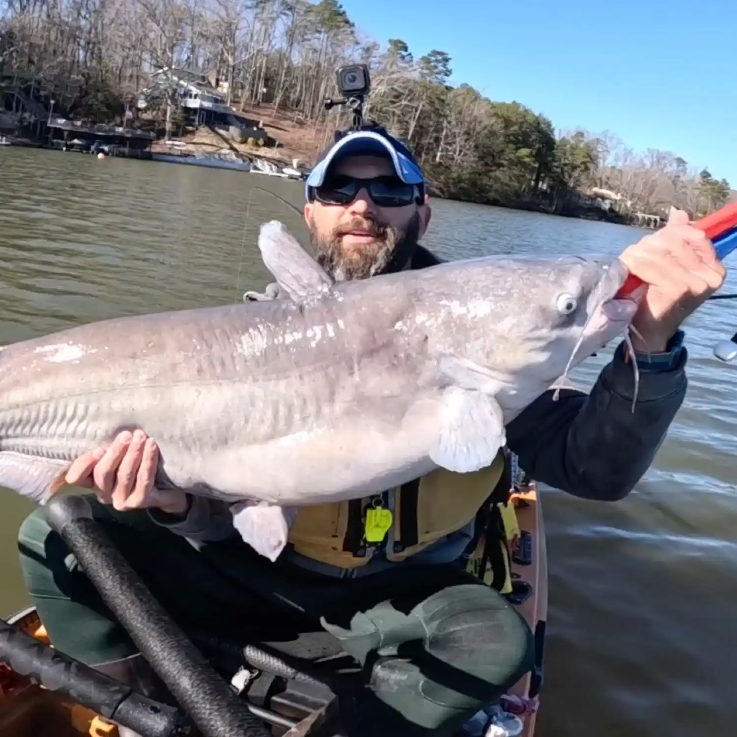 Badin Lake may be the home of North Carolina's biggest blue catfish, and  March is prime fishing time