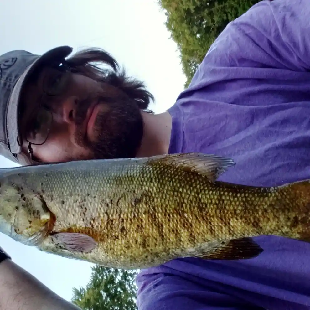 North Branch Chippewa River fishing reports Mount Pleasant