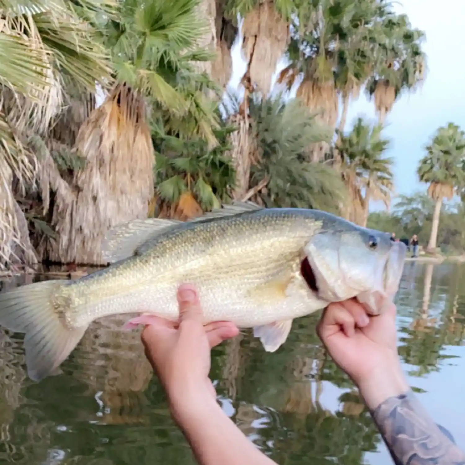 Hooked on Fishing Laredo Tx