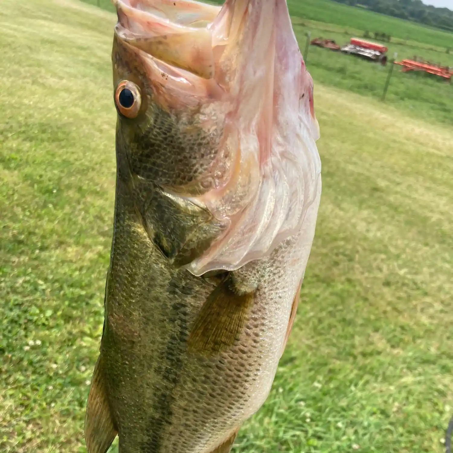 White River Fishing Reports