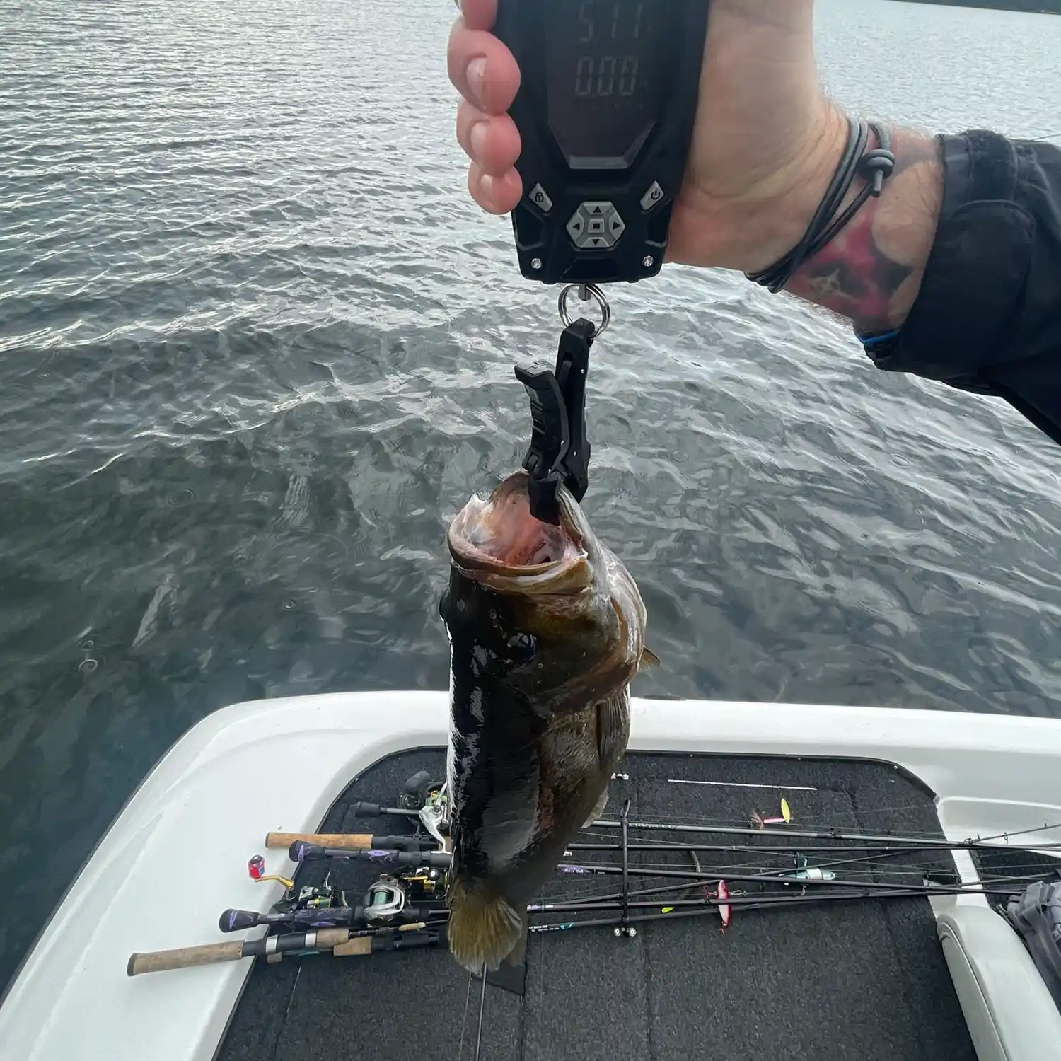 ᐅ Gananoque Lake fishing reports🎣• Le Ray, Ontario (Canada) fishing