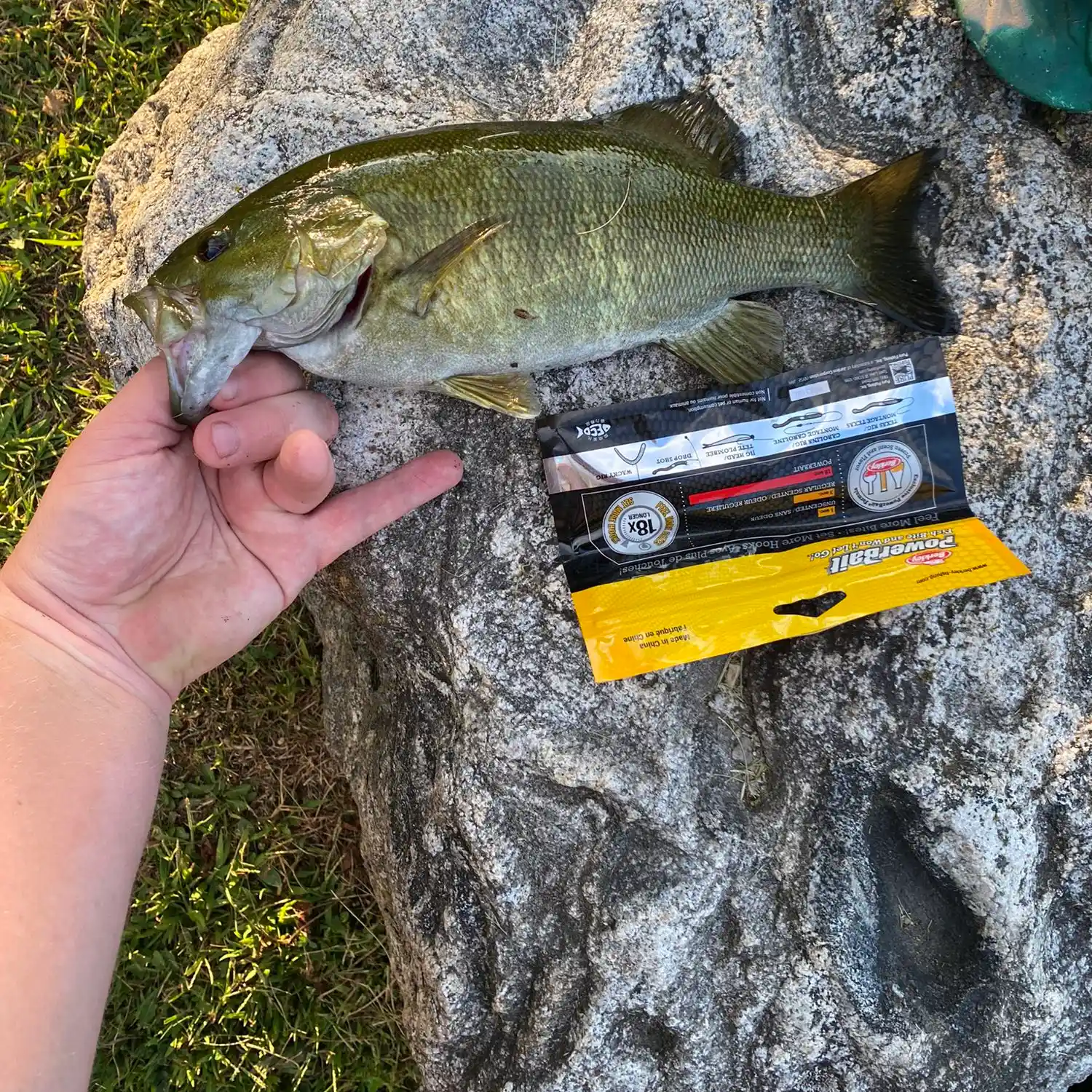 ᐅ Coldwater River fishing reports🎣• Mount Pleasant, MI (United States)  fishing