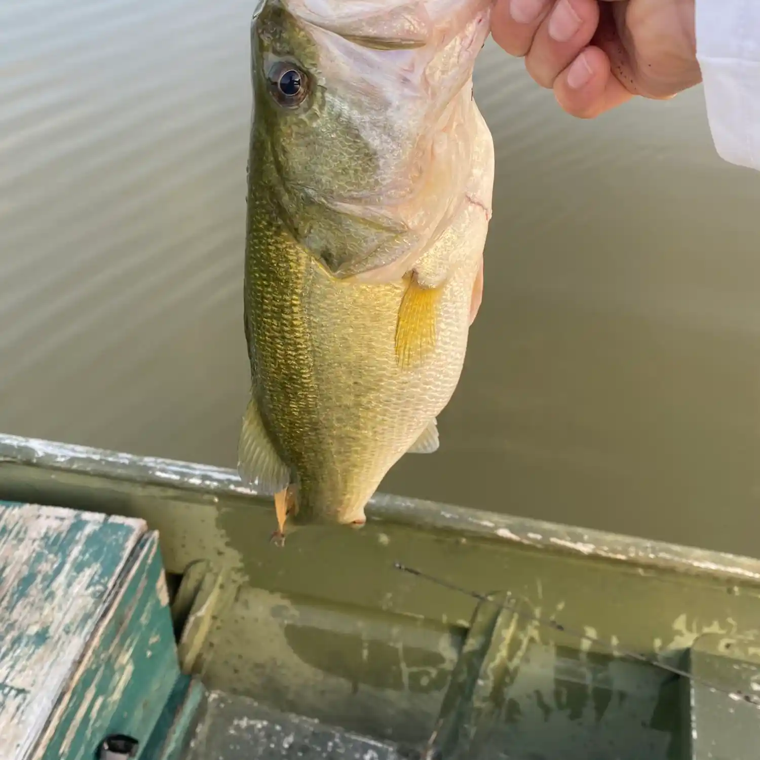 ᐅ Carter Lake fishing reports🎣• College Station, TX (United States) fishing