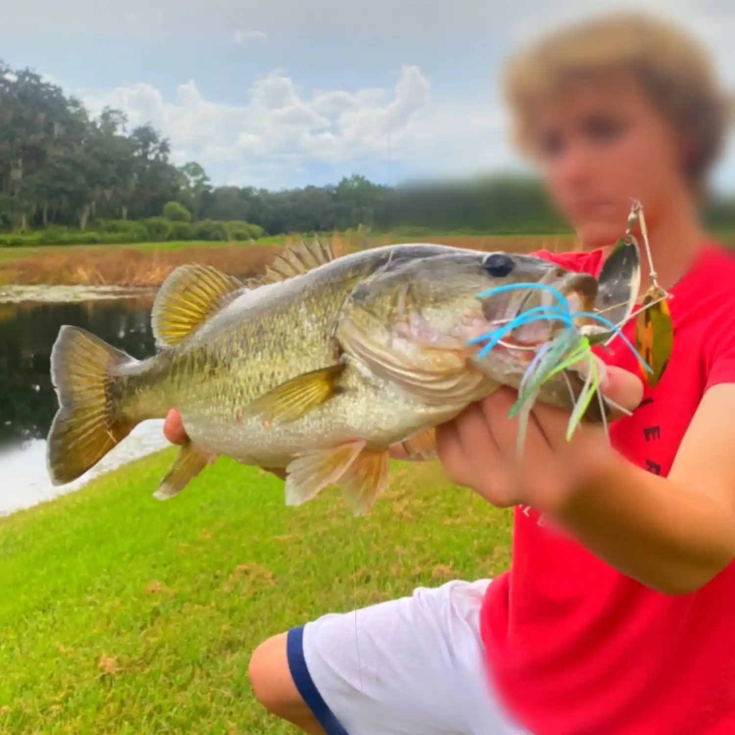 ᐅ Tampa Bypass Canal fishing reports🎣• Temple Terrace, FL (United States)  fishing