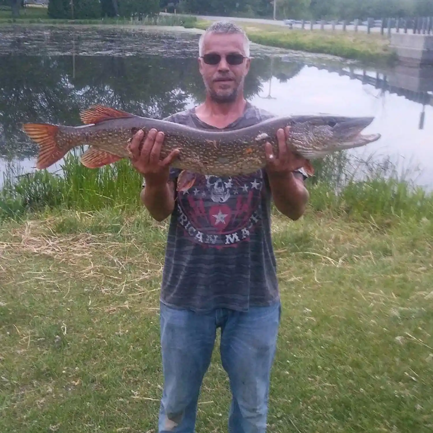 North Branch Chippewa River fishing reports Big Rapids MI