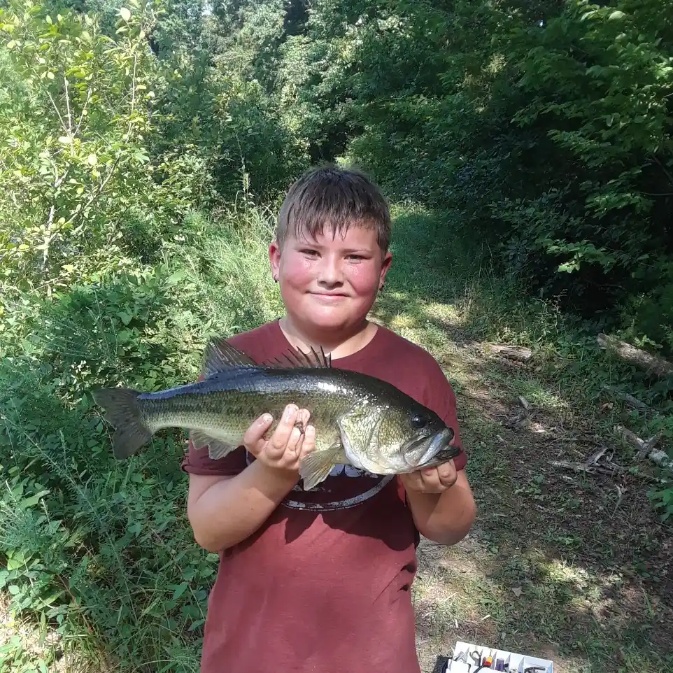 ᐅ Gibson Pond fishing reports🎣• Tega Cay, SC (United States) fishing