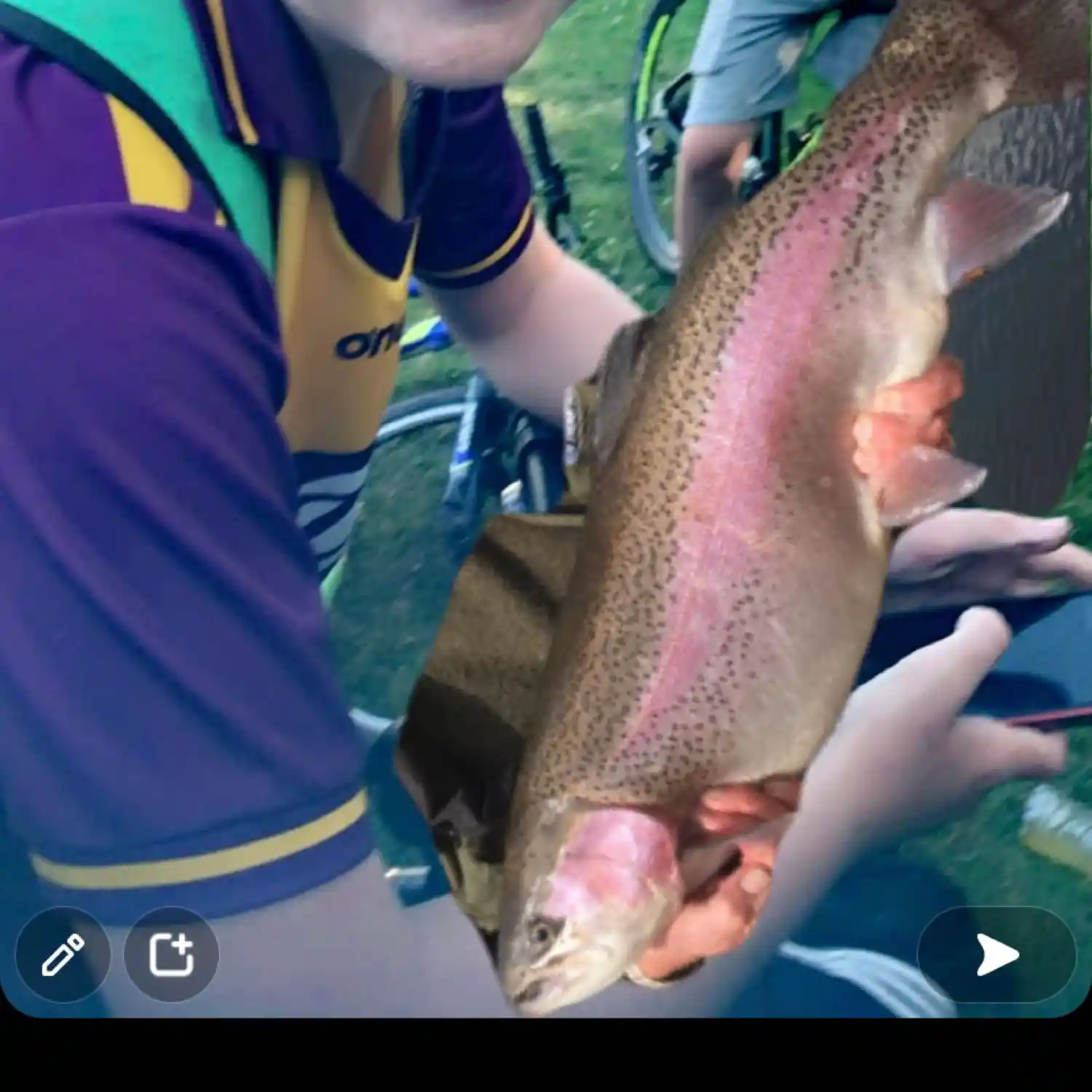 most liked catch image