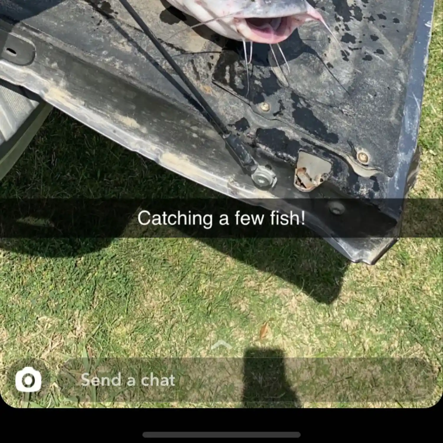 most liked catch image