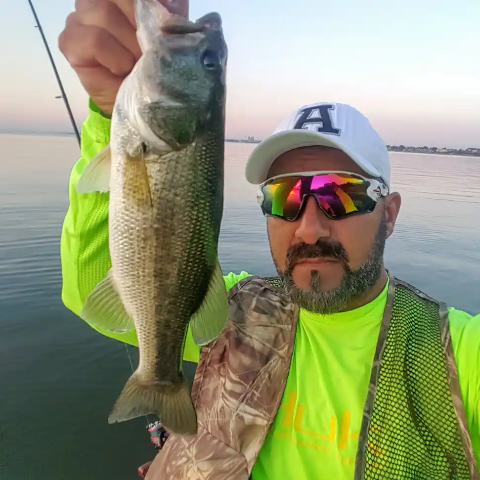 Lake Ray Hubbard Fishing Report by Darrel Thomas