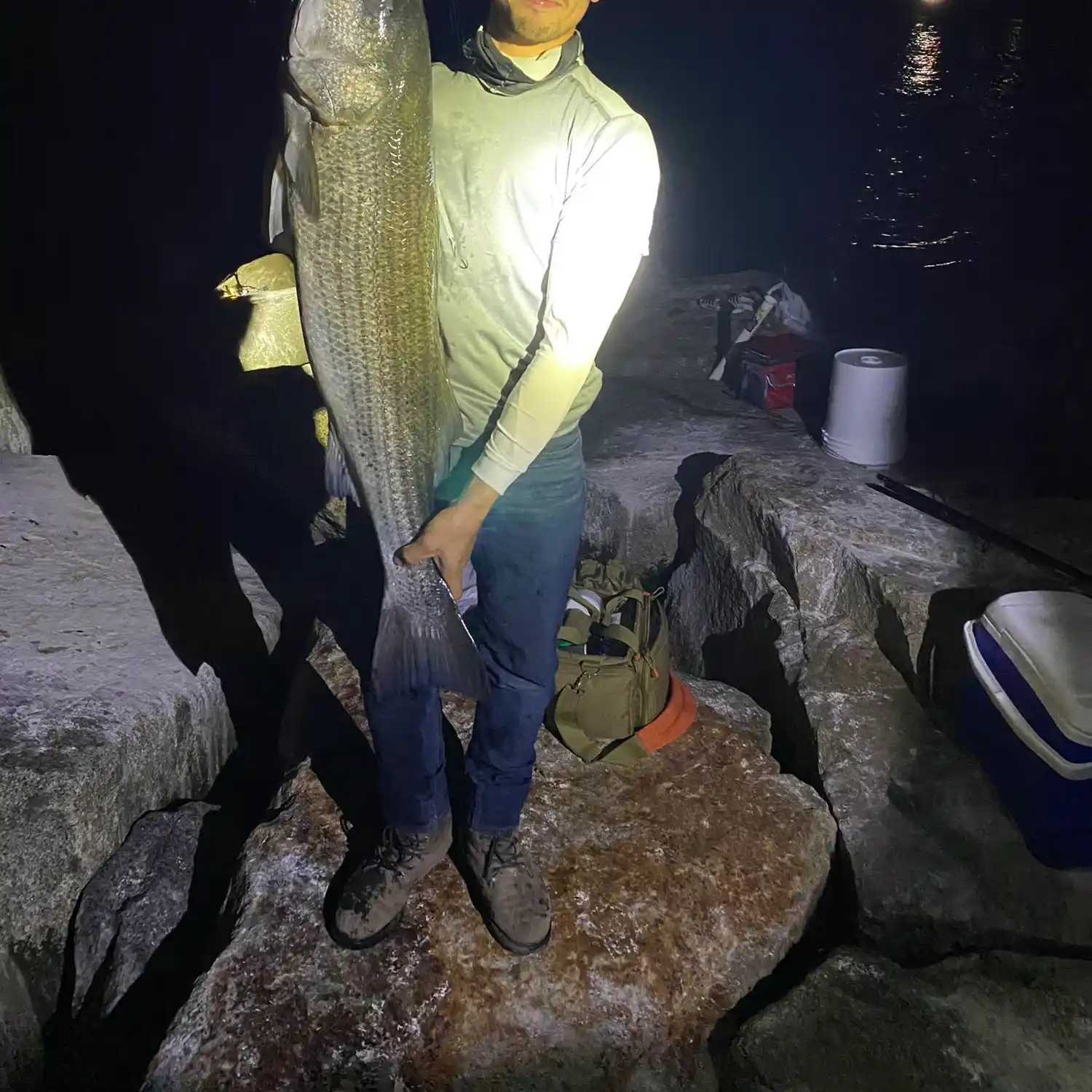 ᐅ Scituate Harbor fishing reports🎣• Scituate, MA (United States) fishing