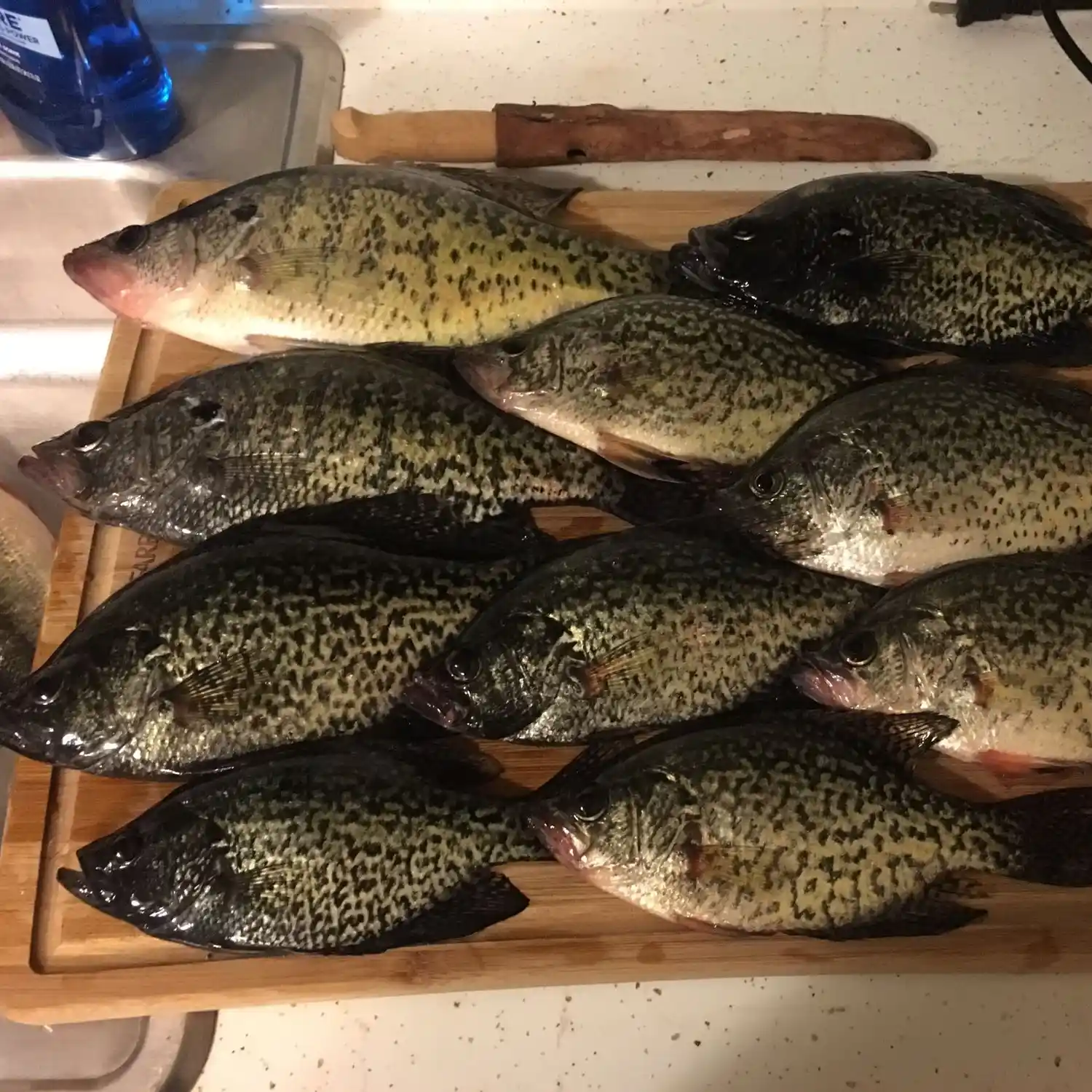 ᐅ Kiser Lake fishing reports🎣• Urbana, OH (United States) fishing