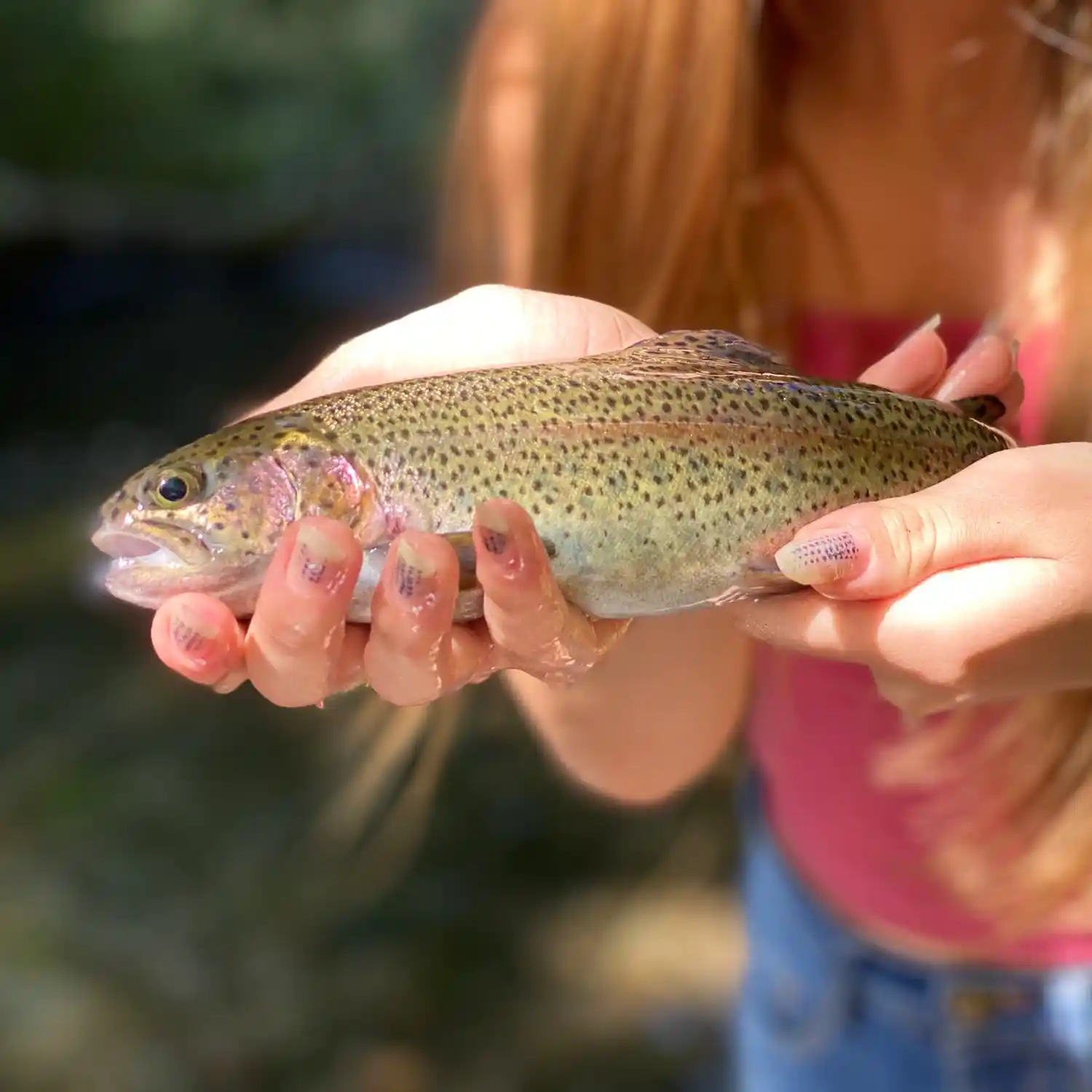 Hat creek best sale fishing regulations