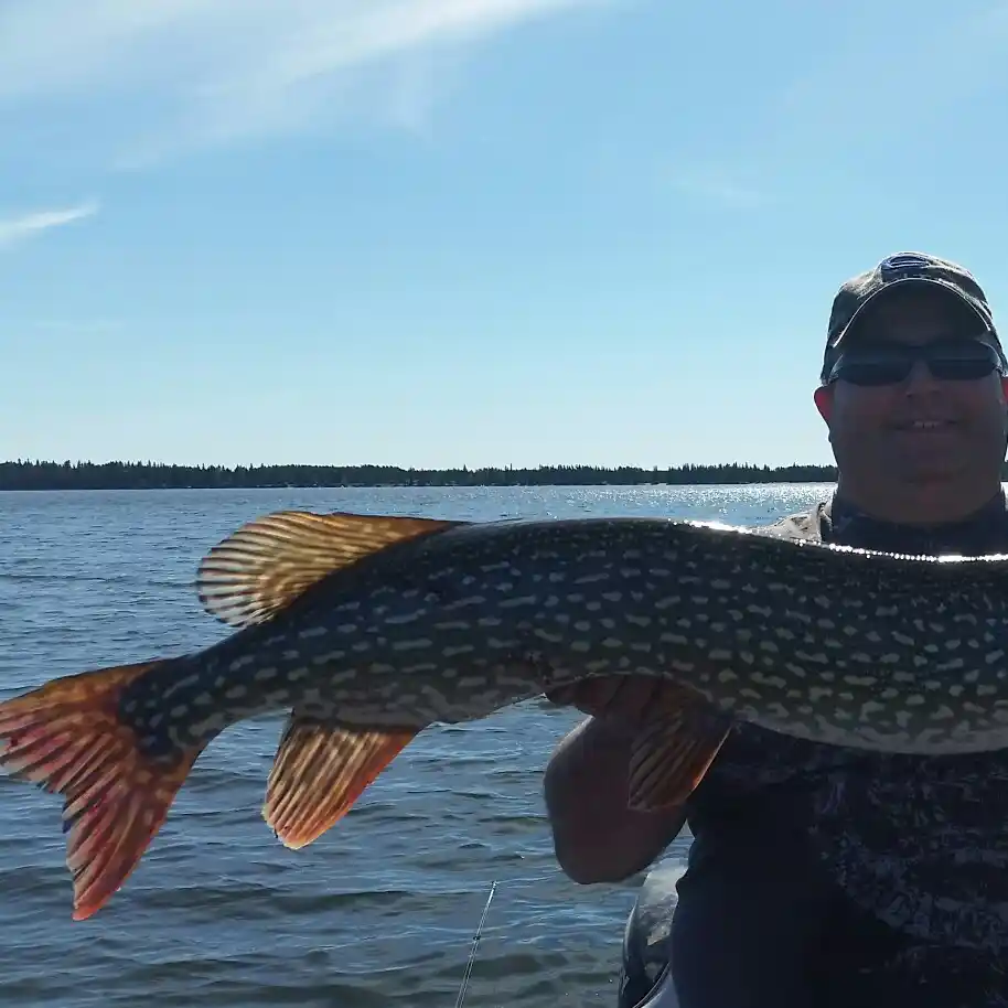 ᐅ Lower Fishing Lake fishing reports🎣• Saskatchewan, Canada fishing