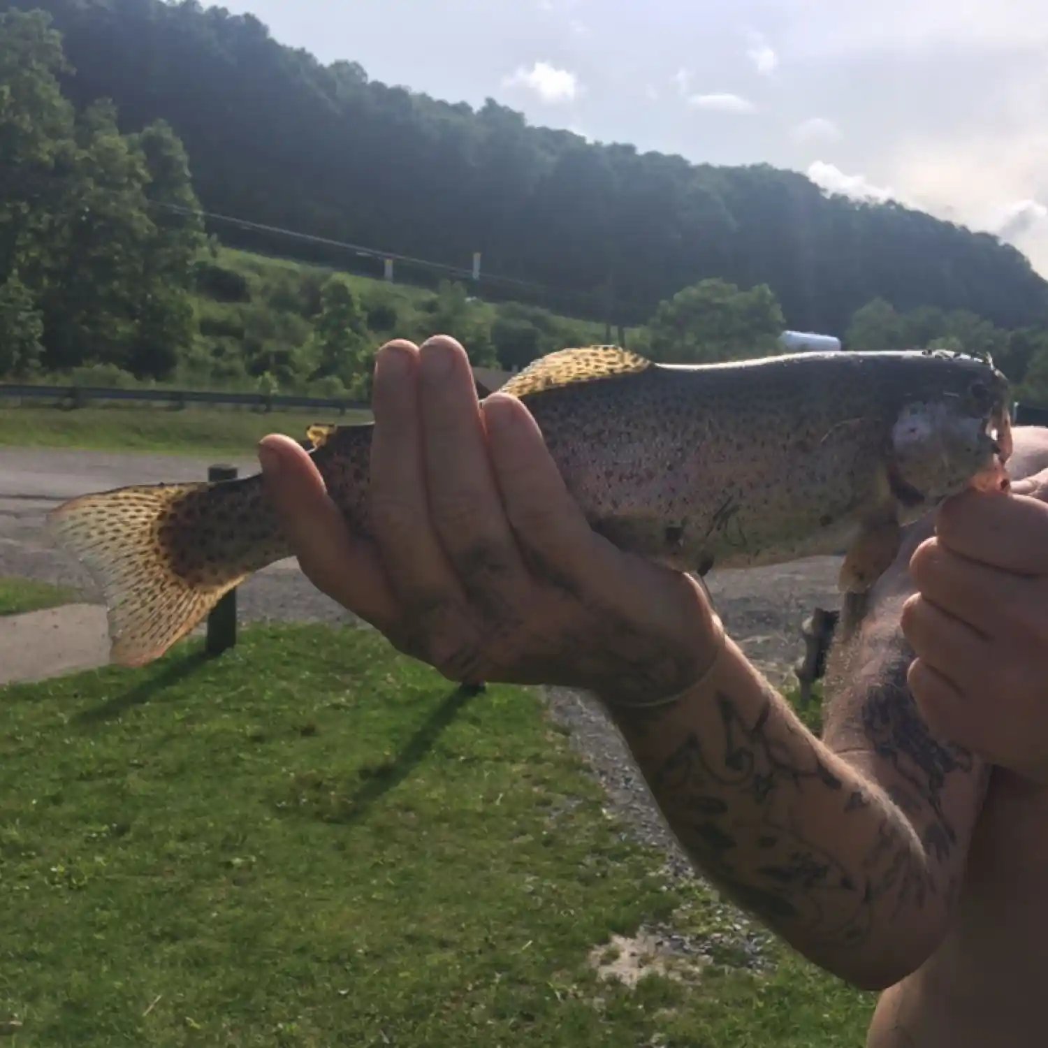 Catch and Keep Trout Pond - WV Trout Fishing