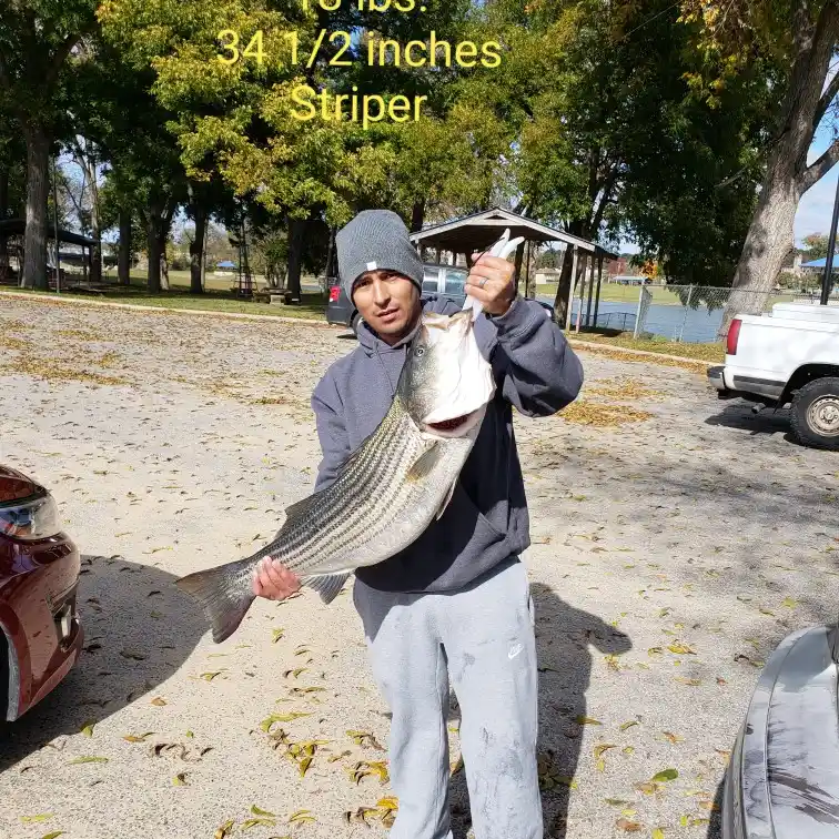 most liked catch image