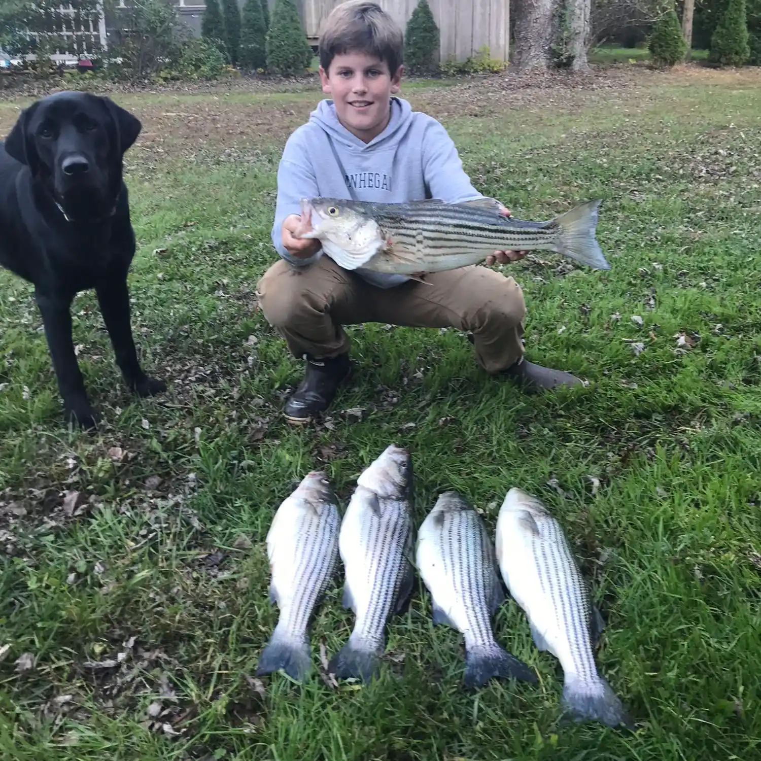 ᐅ Chester River fishing reports🎣• Arnold, MD (United States) fishing