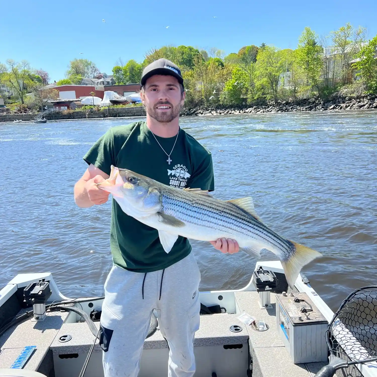 striped bass with nason