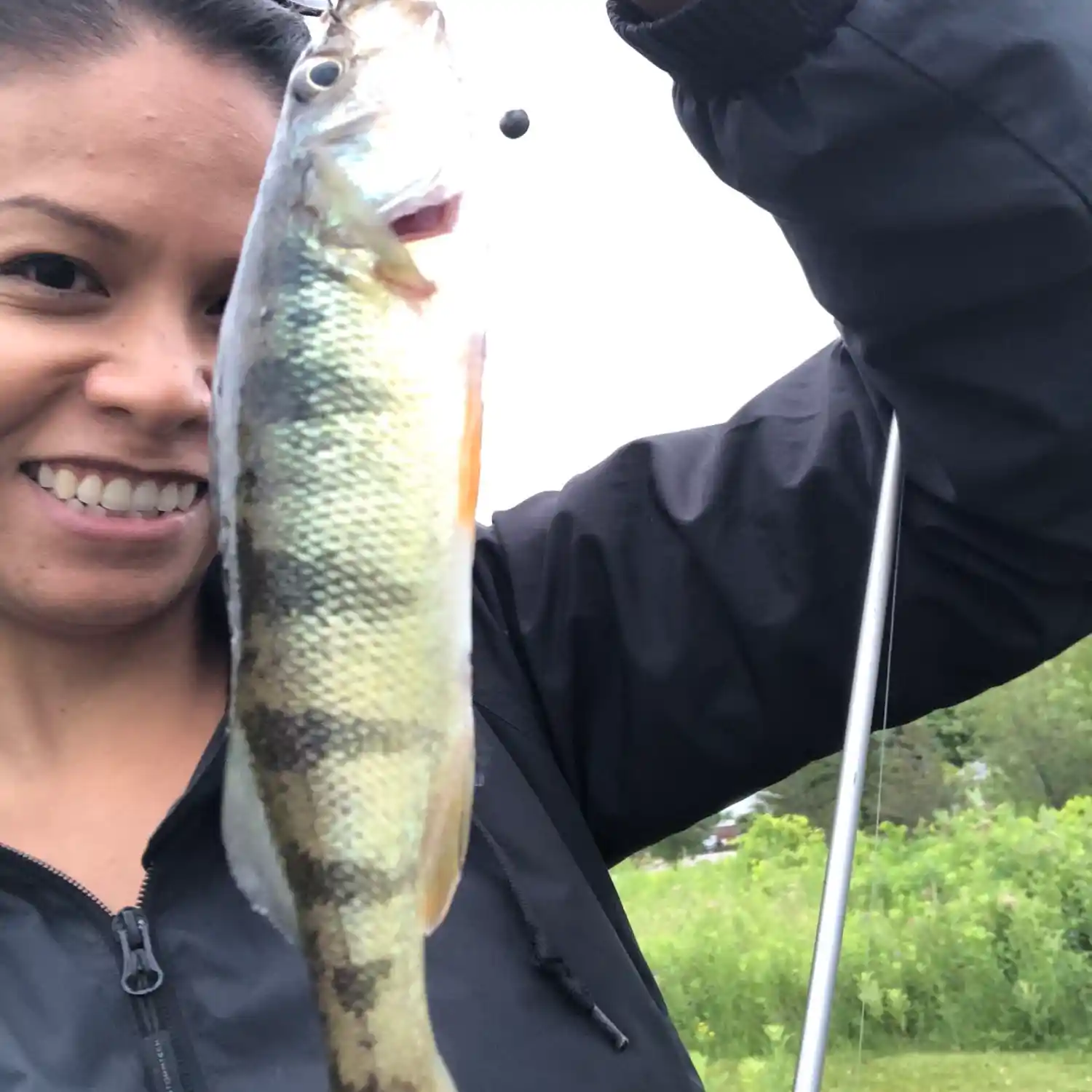 ᐅ Little Lake fishing reports🎣• Ontario, Canada fishing