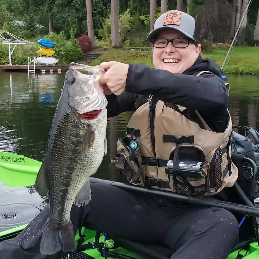 ᐅ Tanwax Lake fishing reports🎣• Graham, WA (United States) fishing