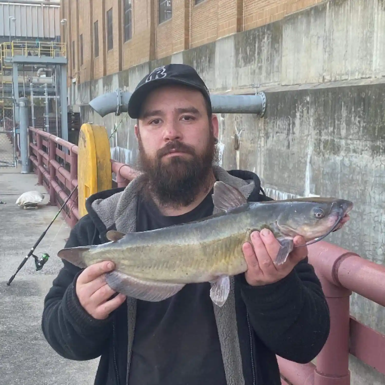 ᐅ Cabin Creek Reservoir fishing reports🎣• Springettsbury, PA