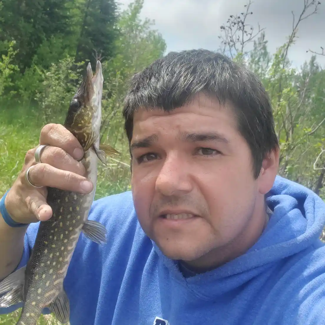 ᐅ Pearl Lake fishing reports🎣• Ontario, Canada fishing