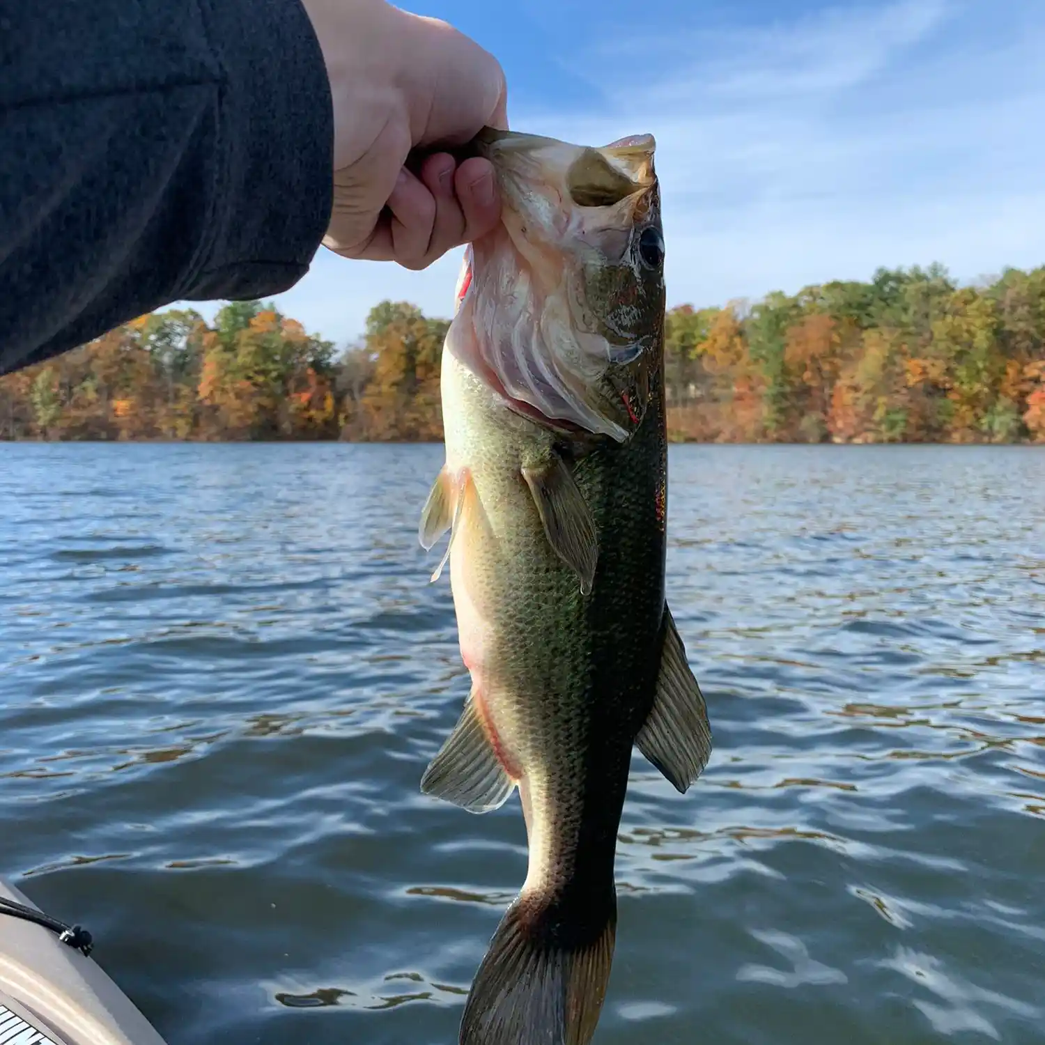 ᐅ Lake Perez fishing reports🎣• Ferguson, PA (United States) fishing