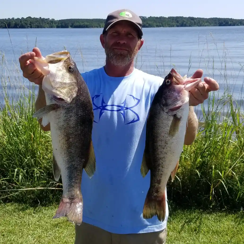 ᐅ Buckhorn Lake fishing reports🎣• Wilson, NC (United States) fishing