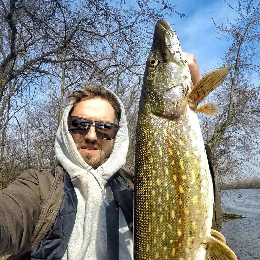 ᐅ Boomerang Slough fishing reports🎣• Hickory Hills, IL (United States)  fishing