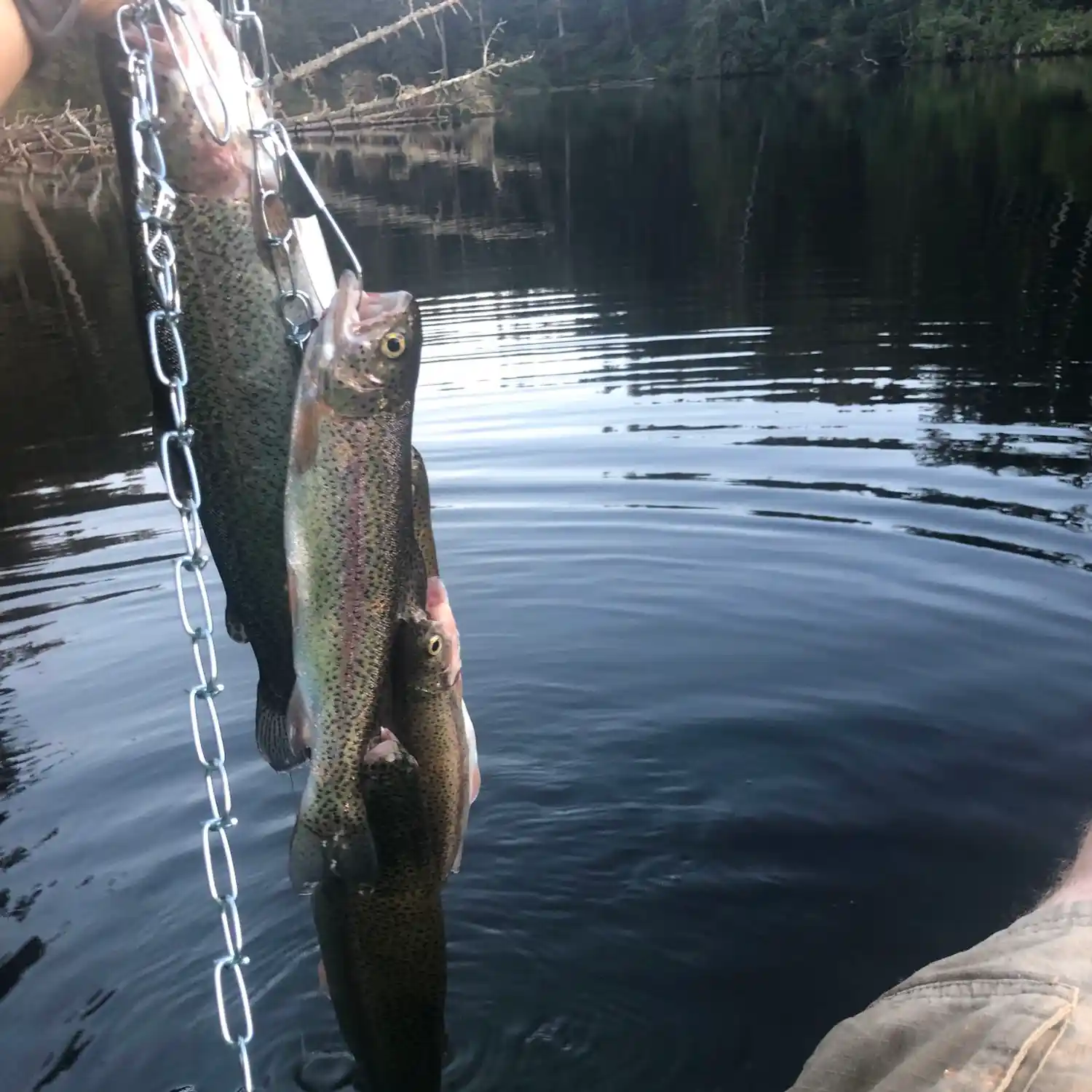 Lake Marie - Winchester Bay, OR - Fish Reports & Map