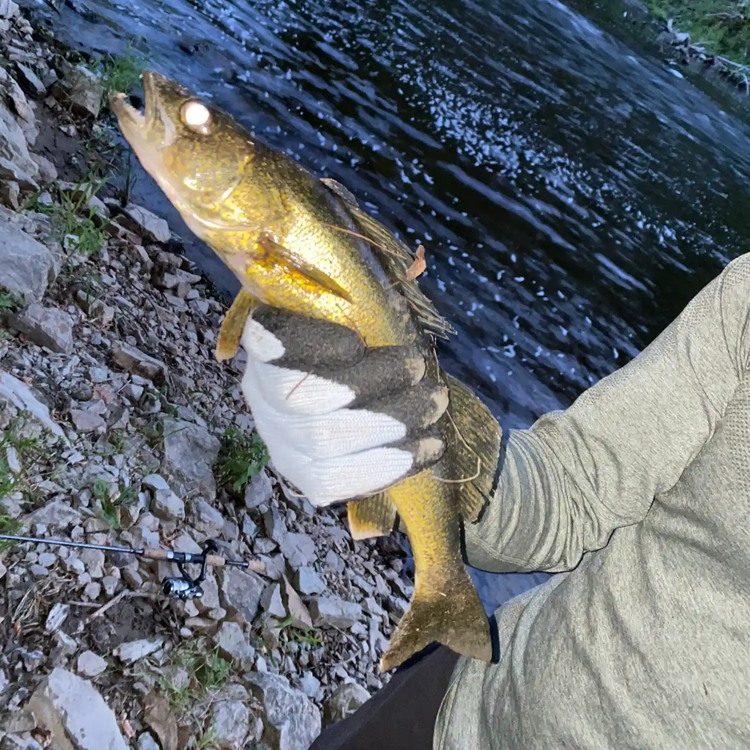 ᐅ Muskrat River fishing reports🎣• Ontario, Canada fishing