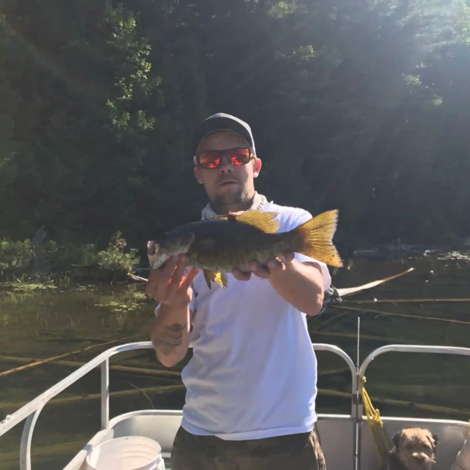 ᐅ Nelson Lake fishing reports🎣• Ontario, Canada fishing