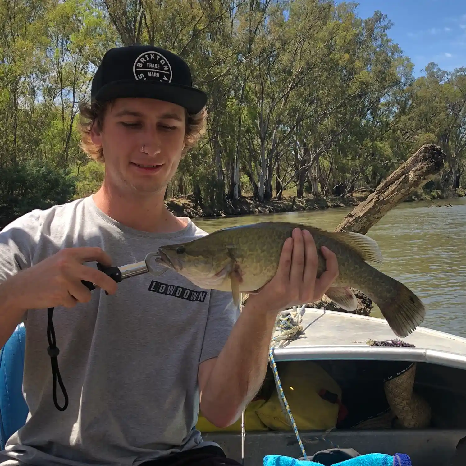 ᐅ Black Dog Creek fishing reports🎣• Victoria, Australia fishing